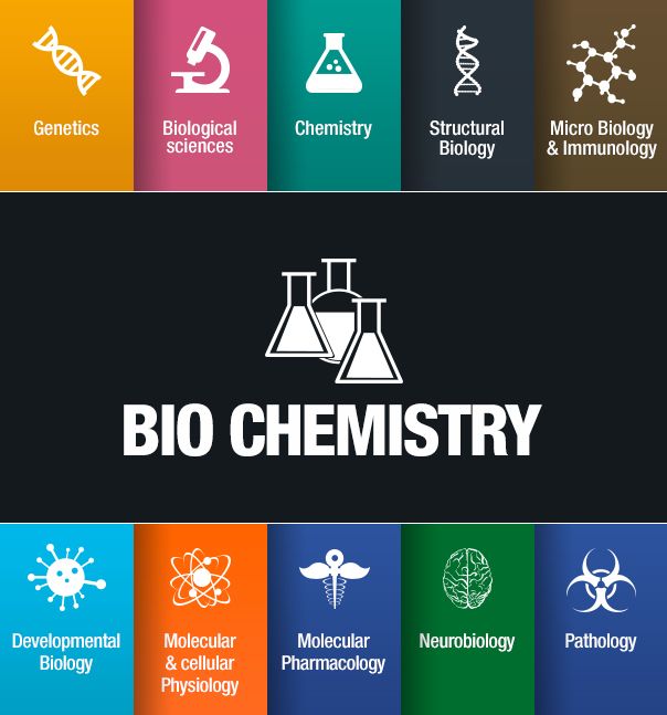 10 Things You Can Do With A Degree In Biochemistry UNNmySCHOOL