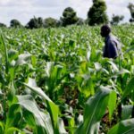 10 Reasons Why You Should Study Agric Science