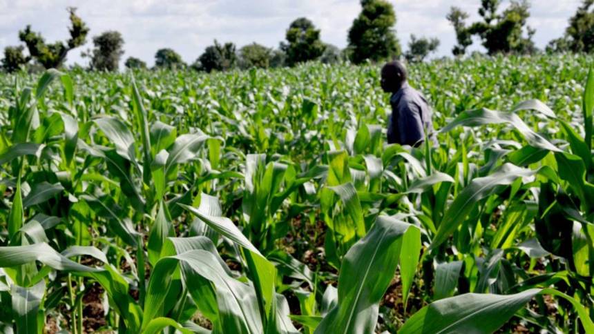 10 Reasons Why You Should Study Agric Science