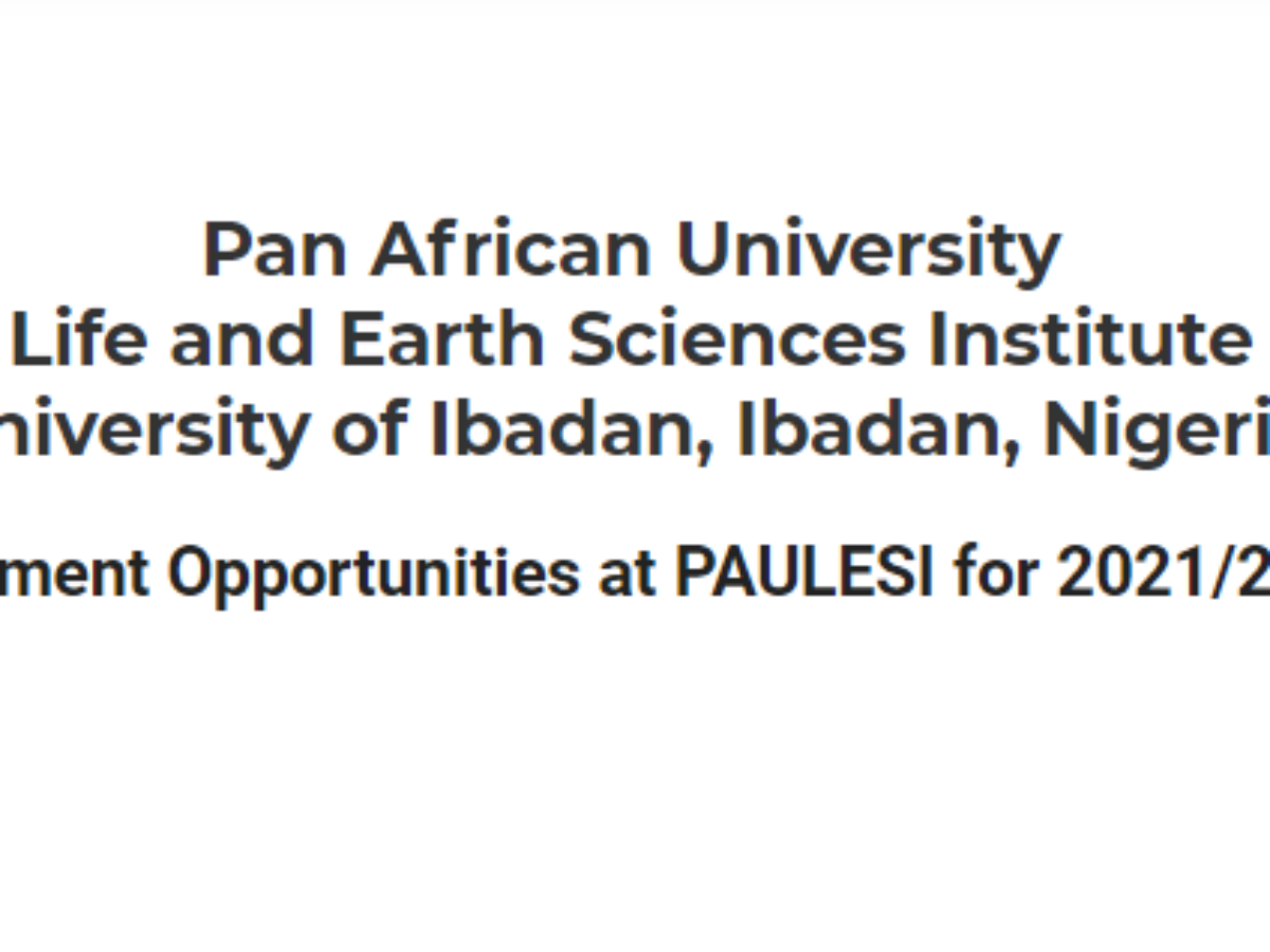 Pan African University Sabbatical Leave Placement Opportunities 22 After School Africa