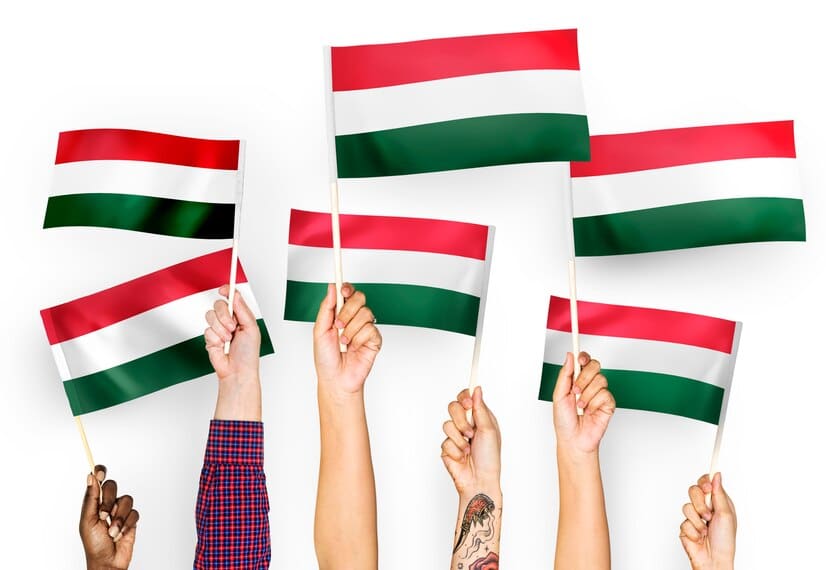 How to Study in Hungary Without IELTS in 2024 (Scholarships)