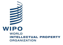 WIPO National Intellectual Property Essay Competition 2024 For Young Nigerian Students