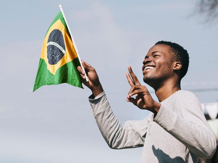 How to apply for the Brazilian Universities (GCUB) Scholarships 2025 for international students