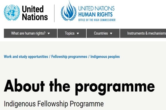 Call for applications: OHCHR Indigenous Fellowship Program 2025