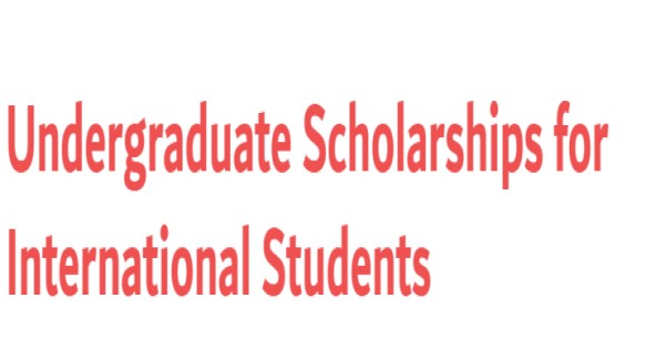 Undergraduate Scholarships for International Students at United Arab Emirates University 2025