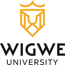 Wigwe University Merit Scholarship For Nigerian Students 2024