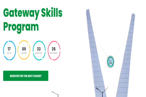 How to Apply for the Ogun State Government Gateway Skills Program for Nigerians 2024