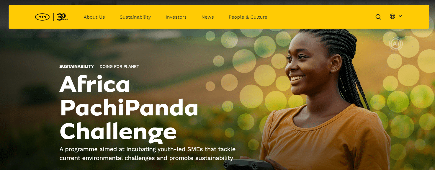 MTN Africa PachiPanda Challenge 2024 for Youth-Led SMEs