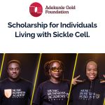 Adekunle Gold Foundation Music Scholarship for Africans 2024/2025