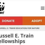 WWF’s Russell E. Train Fellowships 2025 for Master’s and Doctoral students