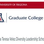 Dr. Maria Teresa Velez Diversity Leadership Scholarship at the University of Arizona 2025