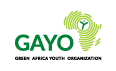 Green Africa Youth Organization (GAYO) African Youth Negotiators Fellowship Program 2024