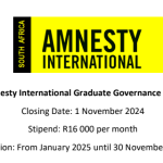 Amnesty International Graduate Governance Fellowship 2025