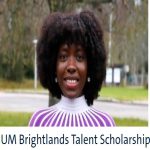 Apply for the UM Brightlands Talent Scholarship in Netherlands 2025/2026