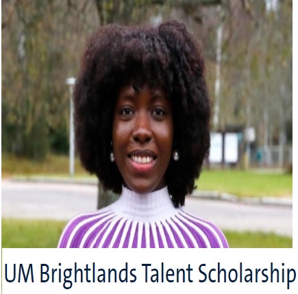 Apply for the UM Brightlands Talent Scholarship in Netherlands 2025/2026