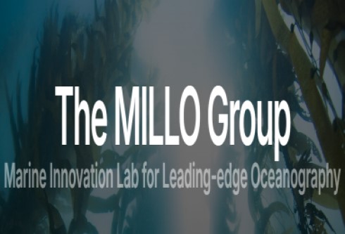 MILLO Group Masters, PhD and Postdoctoral Scholarship for International Students (Fall 2025)