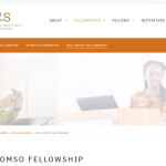 Stellenbosch Institute for Advanced Study (STIAS) Iso Lomso 2025 Fellowship for African Researchers