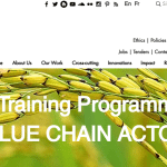 AfricaRice 2025 Master Training Program for Rice Value Chain Actors- Apply!