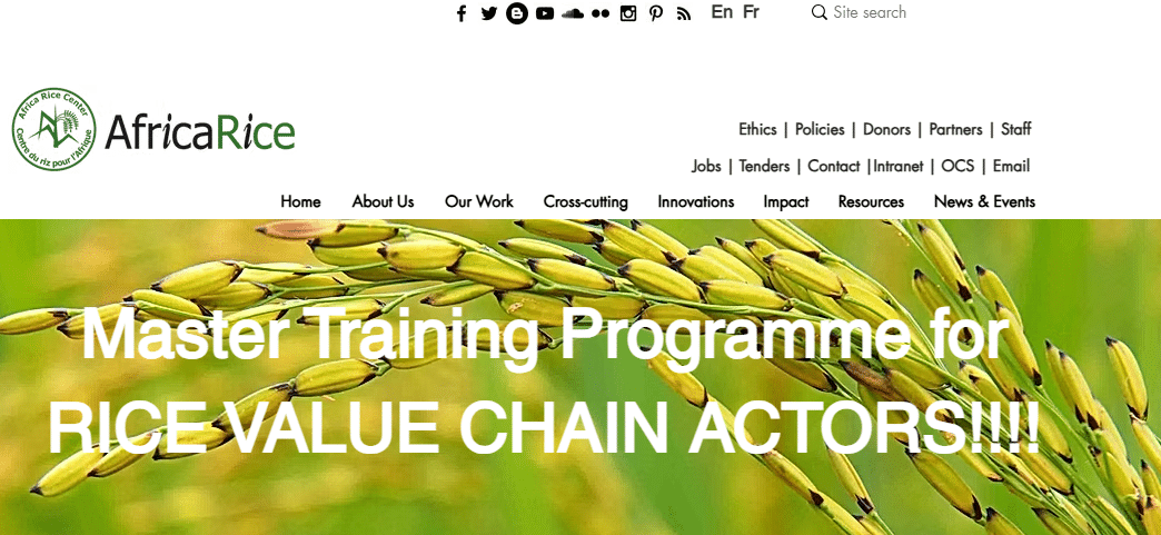 AfricaRice 2025 Master Training Program for Rice Value Chain Actors- Apply!