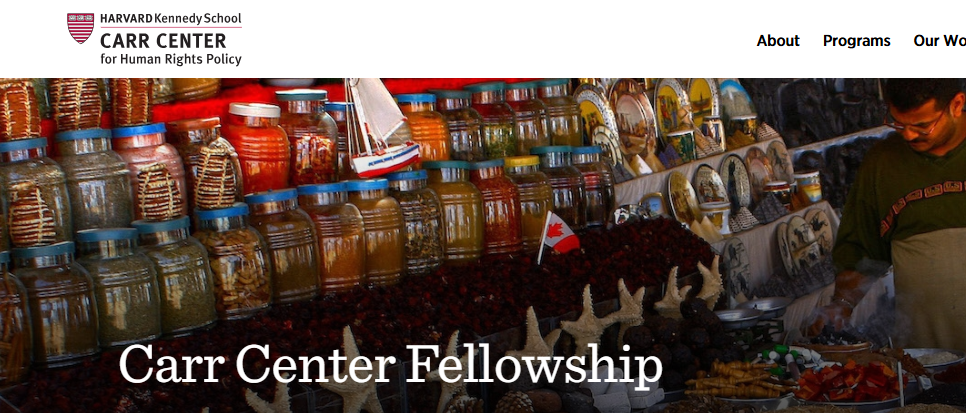 Carr Center Fellowship 2025 in the US For Young Professionals