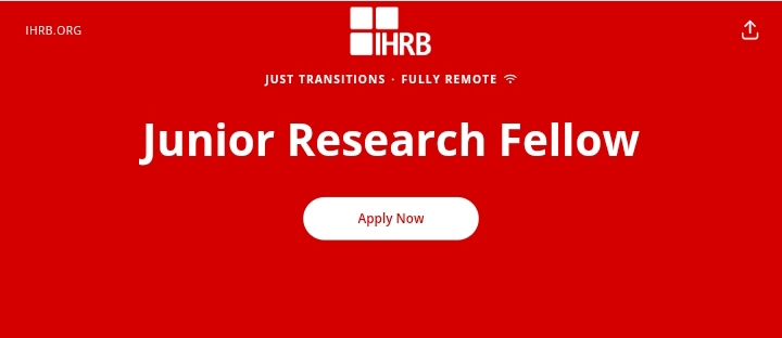 Institute for Human Rights and Business (IHRB) 2025 Junior Research Fellowship