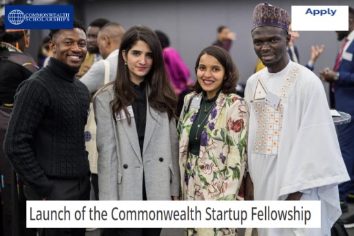 Applications Are Open for the 2025 Commonwealth Startup Fellowship for Developing Countries in Ghana and the UK