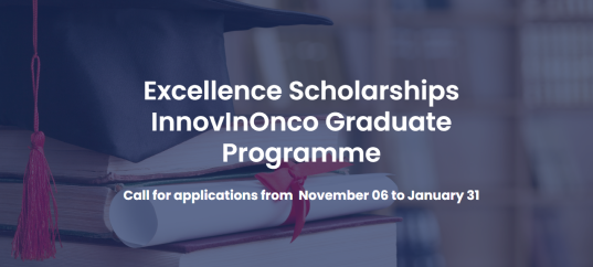 France offers The Excellence Scholarships InnovInOnco Graduate Programme for International Students 2025 (Financial support of €10,000 annually)