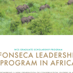 Fonseca Leadership Program 2025 For African Conservation Leaders Pursing A Masters Or Ph.D. Degree (Scholarship Available) 