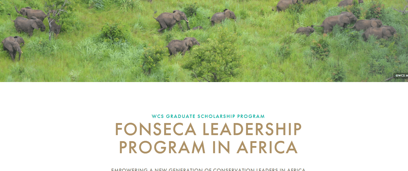 Fonseca Leadership Program 2025 For African Conservation Leaders Pursing A Masters Or Ph.D. Degree (Scholarship Available) 