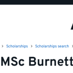 University of Kent Burnett Announces The DICE MSc Burnett Scholarships 2025 For African Students To Study in The UK- Apply!