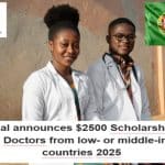 Portugal announces 00 Scholarships for Young Doctors from low- or middle-income countries 2025 (Prof Donald Li Global YDM scholarship)