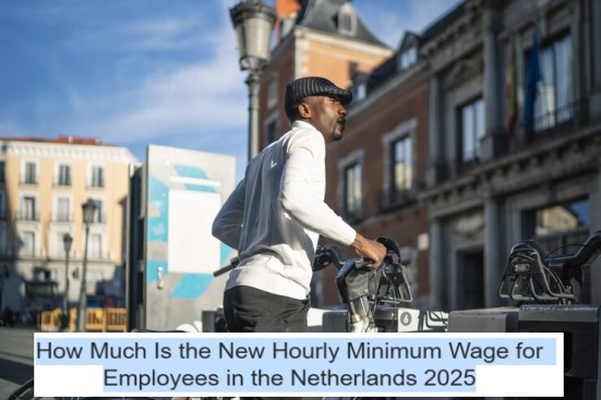 How Much Is the New Hourly Minimum Wage for Employees in the Netherlands in 2025