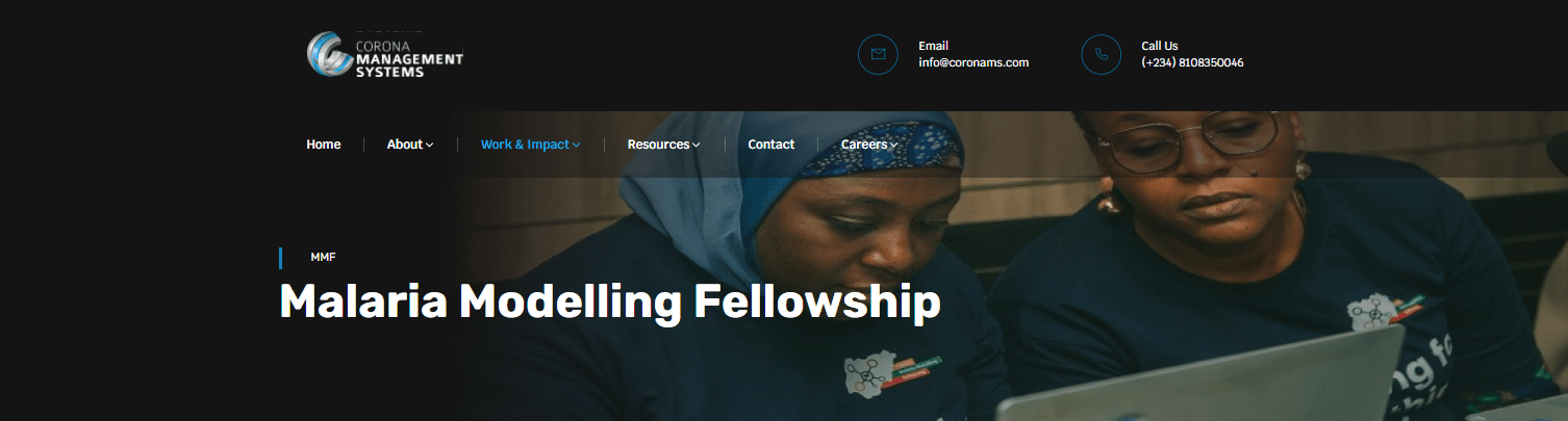 Nigeria Malaria Modelling Fellowship For Public Health Professionals (Funded)