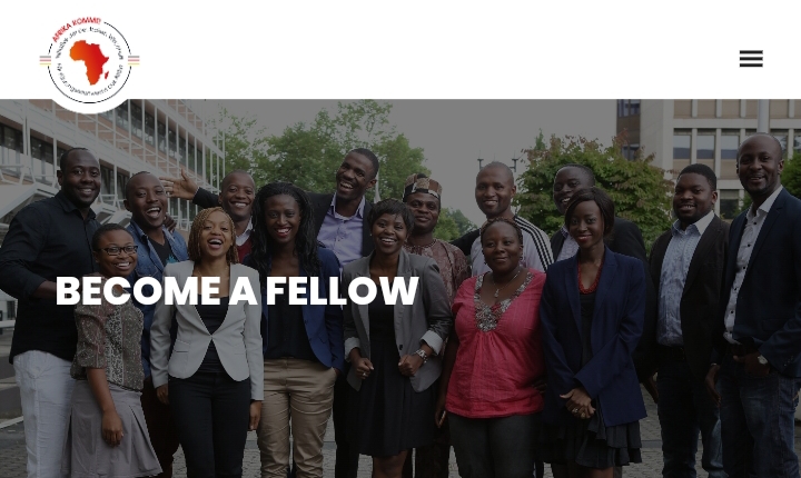 AFRIKA KOMMT! Fellowship Program For Young African Professionals 2025 (Fully Funded to Germany)