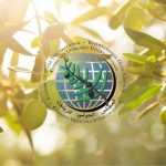 Paid Opportunity: International Olive Council (IOC) Internship Program (Funded to Spain)