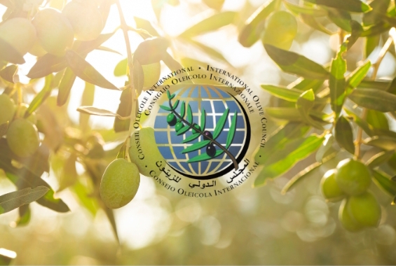 Paid Opportunity: International Olive Council (IOC) Internship Program (Funded to Spain)