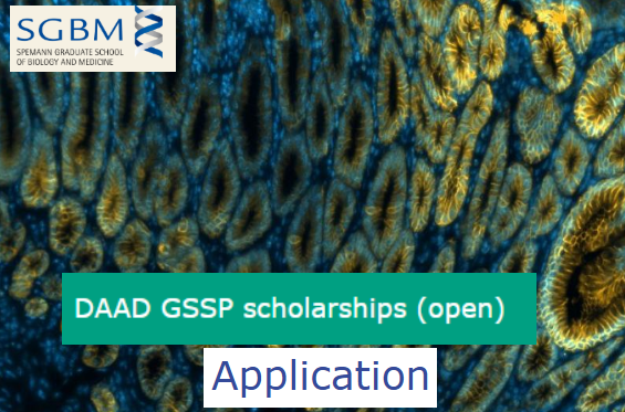 Now Open: Spemann Graduate School of Biology and Medicine (SGBM) DAAD GSSP PhD Scholarships 2025/2026