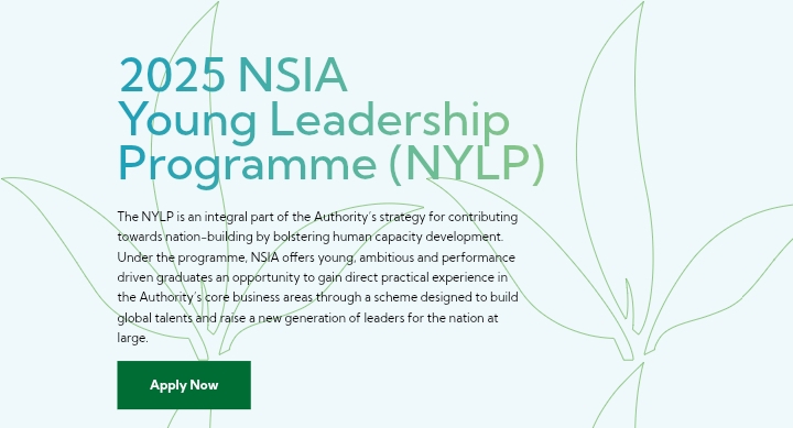 How To Apply For The NSIA Young Leadership Program (NYLP) 2025 For Nigerian Graduates