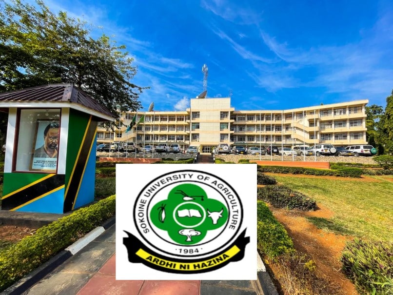 Call For Applications: Fully Funded PhD Scholarships at Sokoine University of Agriculture (SUA), Tanzania 2025